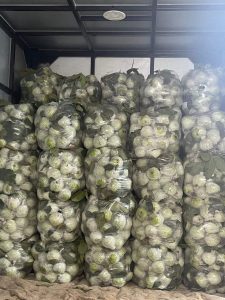 349867849_783699680003996_3297076356031188331_n Ổi Lê – Lợi Nhuận 22% – (6 Tiếng)