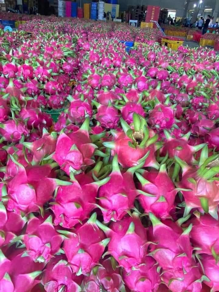 Thanh Long