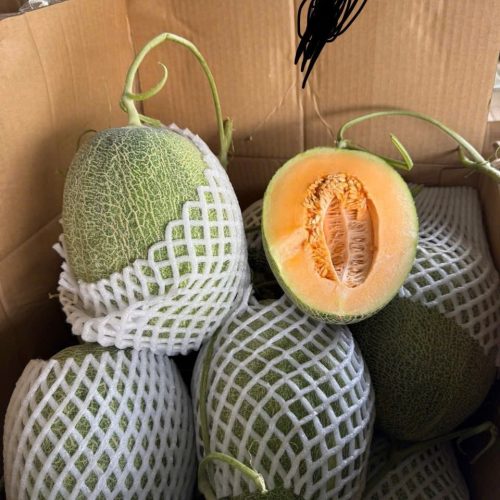 Dưa Lưới Loại 1 – Lợi Nhuận 24% – (12 Tiếng)