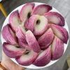 Vú Sữa Tím – Lợi Nhuận 14% – (6 Tiếng)