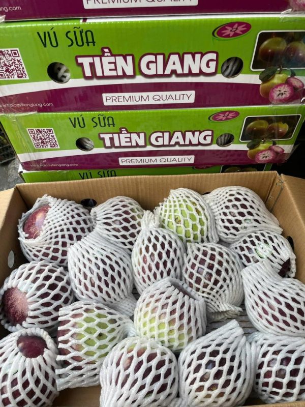 Vú Sữa Tím – Lợi Nhuận 14% – (6 Tiếng)