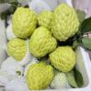 Na Thái - Lợi Nhuận 8% – (6 Tiếng)