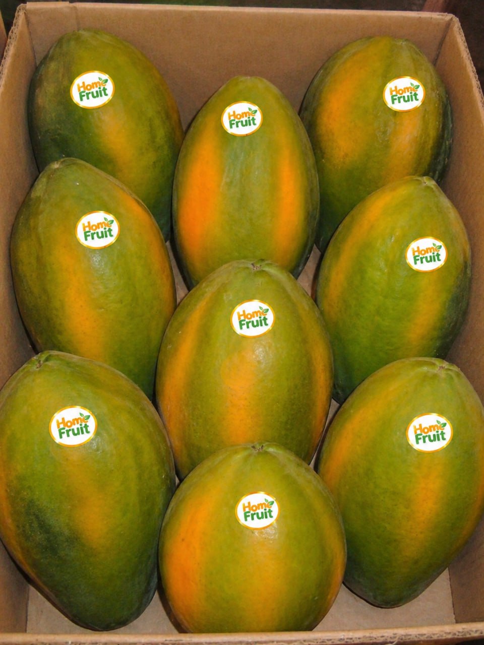 Đu Đủ