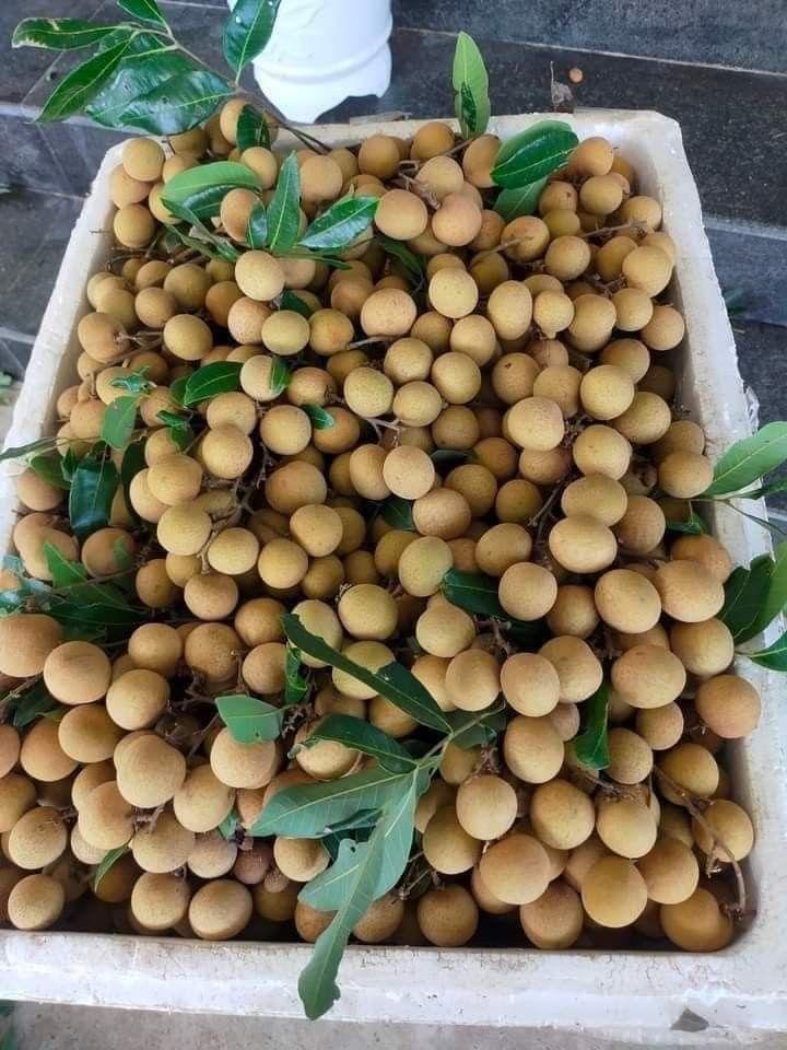 Nhãn