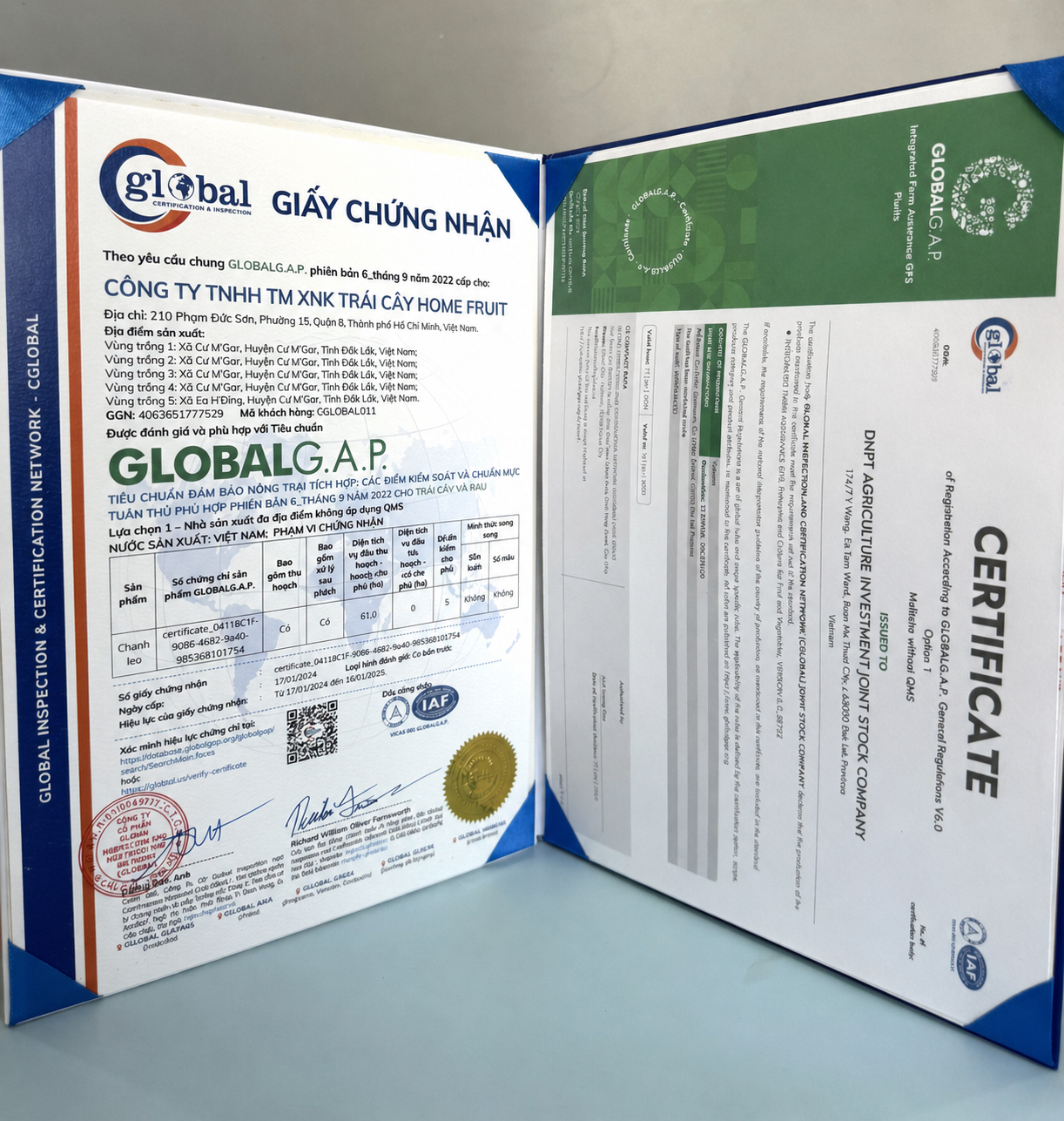 Chứng nhận quốc tế